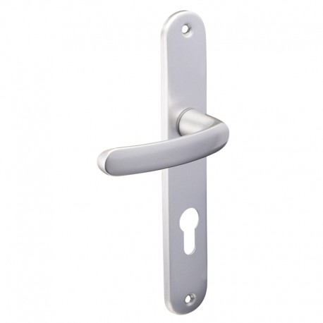 ENSEMBLE DE PORTE ALUMINIUM BUDGET CLE I