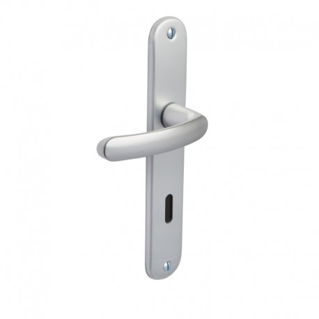 ENSEMBLE DE PORTE ALUMINIUM BUDGET CLE L