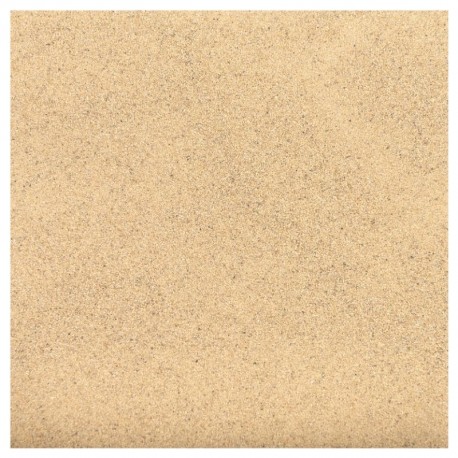 DANSAND SABLE DE JOINTOIEMENT NO GROW NATURAL 20KG